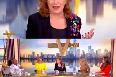 Joy Behar Returns to The View and Finally Reveals the Real Reason Behind Her Week-Long Absence