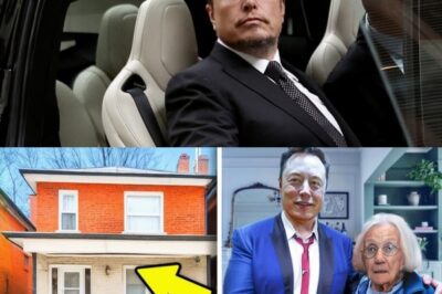 Elon Musk’s Heartwarming Gesture: Helping a 96-Year-Old Woman Keep Her Home