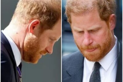 EXCLUSIVEPrince Harry’s visa file to be made public after B0MBSHELL ruling by judge amid claims he lied about DR’’UG use