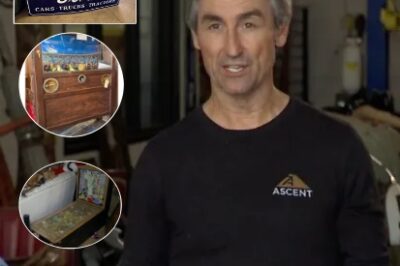 Stunned Witness Mike Wolfe’s Ultra-Expensive Antique Collection – You Won’t Believe the Price of a Single Sign Prepare to be amazed by the jaw-dropping prices of Mike Wolfe’s rare collectibles. Can you guess how much a single sign is worth?