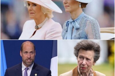 ROYAL CRISIS: Princess Anne “FURIOUS” With Prince William Over Palace Power Shift — Reason Queen Camilla and Kate Middleton Are FORBIDDEN From Stepping In! k