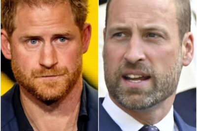 BREAKING NEWS: Defiant statement issued over claims Prince Harry is ‘seriously worried’ about brother William ‘banishing’ him.K