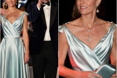 “Here comes the future Queen!” Princess Catherine dazzles in ice-blue gown as Prince William can’t take his eyes off her at royal event