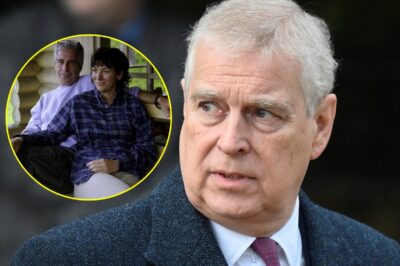 DISGRACE UNFOLDS: Prince Andrew’s Fall From Grace EXPOSED — What Really Happened That Night and Why He’s Been in HIDING Ever Since!k