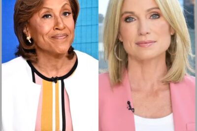 HEARTBREAKING – What BROKE the Sisterhood between Amy Robach and Robin Roberts?