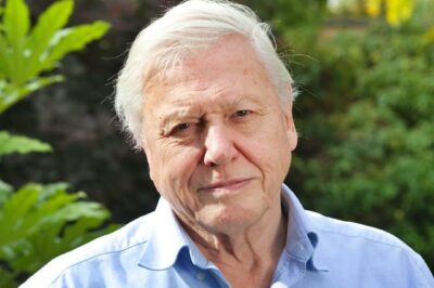 AFFER EMOTIONAL CONFESSION: BBC ISSUES huge David Attenborough ANNOUNCEMENT 99 age