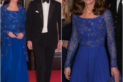 Princess Catherine STUNS in dazzling blue gown — and what William whispered has fans swooning