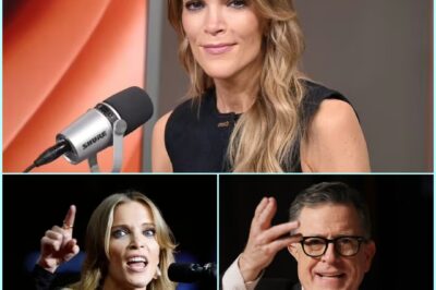 CONTROVERSY ERUPTS: Megyn Kelly Slammed for Harsh Criticism of Stephen Colbert Show Axe – “SHE WENT TOO FAR THIS TIME,” Fans Say, as Her Blunt Remarks Ignite Backlash and Spark Heated Debate Over the Future of Late Night TV and Media Commentary.