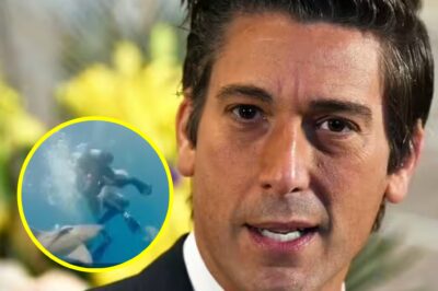SH0CKING FOOTAGE: David Muir shares terrifying SHARK B!TE video – what urgent warning does the ABC anchor want viewers to hear?