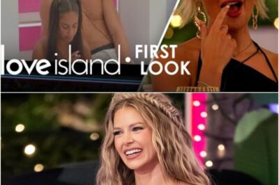 Helena S:A.VAGES ‘d:isgusting’ Harry on Love Island — eight brutal words that ended it all leave villa reeling