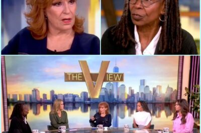 BREAKINGNEWSTHE View’s Joy Behar has REVEALED that the show is once again going ON HIATUS