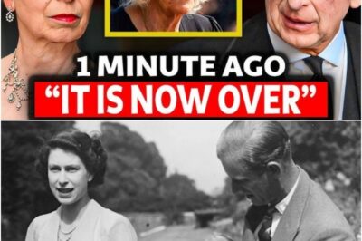 Man claims he’s ROYAL by blood after Queen’s ‘secret marriage and hidden love child’ — and his proof is jaw-dropping