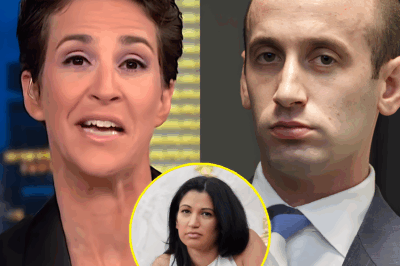 “YOU WANT TO TALK MORALS, STEPHEN? LET’S START FROM YOUR WIFE!” — Rachel Maddow’s On-Air Takedown Leaves Stephen Miller Speechless as Scandal Explodes It started like any other political interview—until Rachel Maddow dropped the bombshell question: “YOU WANT TO TALK MORALS, STEPHEN? LET’S START FROM YOUR WIFE!.” In seconds, the atmosphere shifted from tense to electric as Maddow exposed secrets that left Stephen Miller scrambling for words. Viewers couldn’t look away. What did Maddow reveal that left Miller speechless? The answer will shock you.