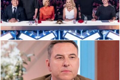 David Walliams EXPOSED: ‘Disrespectful Comments’ That Got Him AXED From Britain’s Got Talent