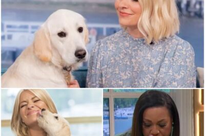 😱 TV SHAKE-UP: Alison Hammond OUT — Holly Willoughby IN! 🐶✨ In a twist NO one saw coming, Alison Hammond has officially stepped away from For The Love of Dogs — and the SH0CK replacement is none other than Holly Willoughby. Fans are divided: is this a bold fresh start… or proof the shake-up was planned all along?