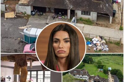 The curse of the Mucky Mansion: As Princess Andre brands home ‘A REALLY SCARY PLACE’ and Katie Price admits it was the root of all her troubles – here’s what went on behind closed doors