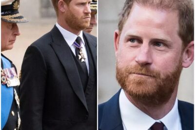 EXCLUSIVEPrince Harry’s SECRET ROYAL move speak volumes after ‘PEACE TALKS’ with top aides