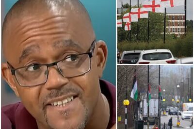 ‘HATEFUL’ professor who insists St George’s Flag ‘REPRESENTS RAC!SM, NOT PATRI0TISM’ and should be CHANGED leaves TV viewers outraged